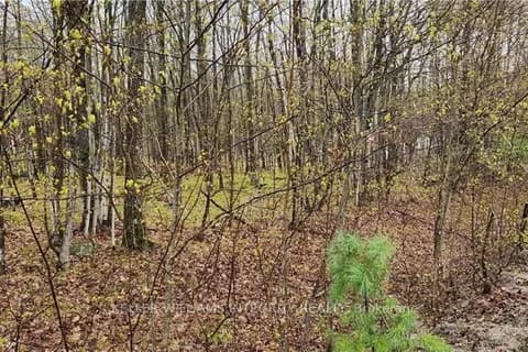 Vacant Land at L 10/11 HOLLIE Drive in Lanark Highlands - MLS# X9515108
